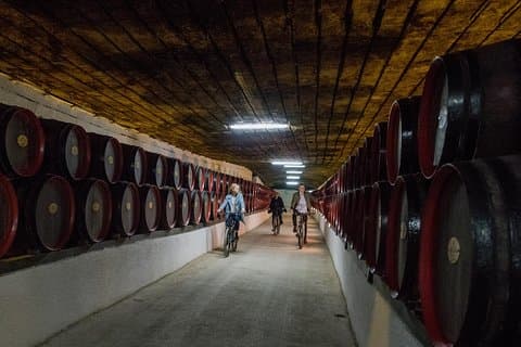 Private Bike Tour to Cricova Winery with wine tasting and lunch