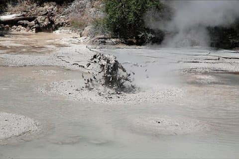 Boutique tour , Mt Maunganui, NZ farm, Rotorua lakes/geothermal