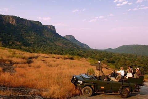 Excursão privada de dia ao templo Jain de Ranakpur e safári na selva de Udaipur
