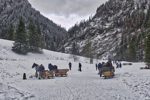 Horse Sleigh Ride in the Polish Countryside, private tour from Krakow