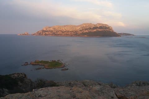 Wijnervaring op Sardinië