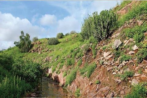 Visite du parc de roches du désert de Rao Jodha, Jodhpur