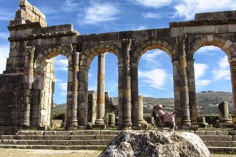 fes till volubilis och meknes dagstur