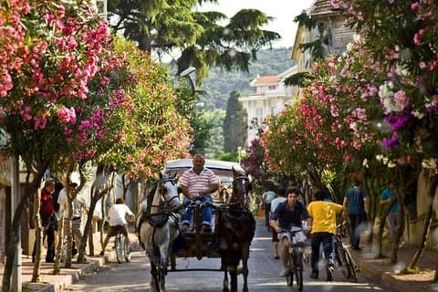 Princes Islands Tour from istanbul