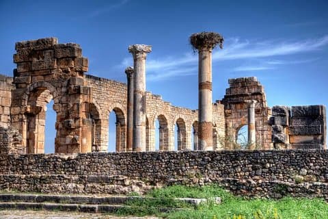 フェズからヴォルビリスへの日帰り旅行