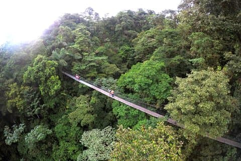 Suspension Bridges, Fortuna waterfall, Typical lunch