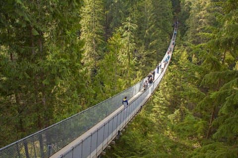 Vancouver Highlights et visite du parc de la suspension Capilano - Charte privée (7 heures)