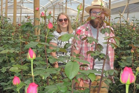 Rose Plantation, Equator Line og Otavalo Market Private Tour