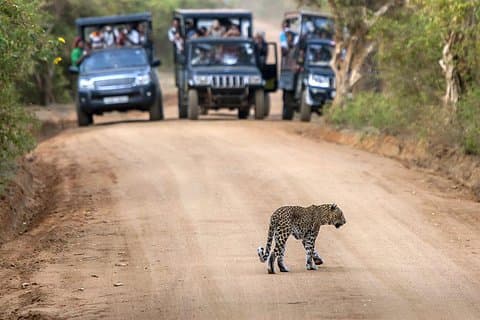 2 Days Tour to Galle & Udawalawe National Park
