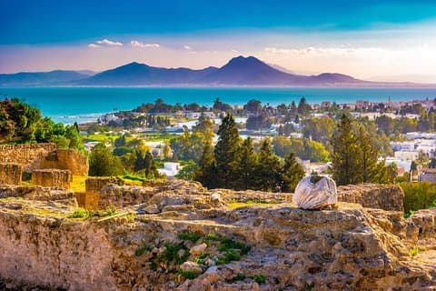 Tunis: Carthage, Bardo Museum, Sidi Bou Said & Medina Group Tour