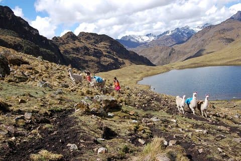 4 jours - De Lares Trek à Machu Picchu - Service de groupe
