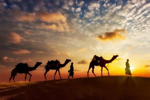 12-daagse privétour: Maharaja Rajasthan