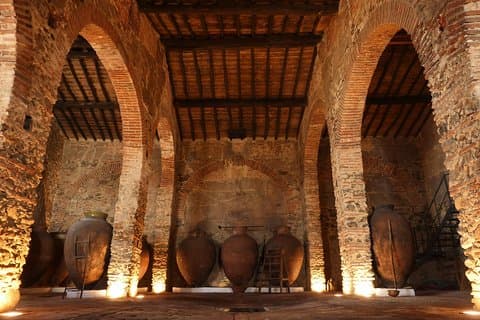 Visita guiada a la Bodega Museo Cella Vinaria Antiqua