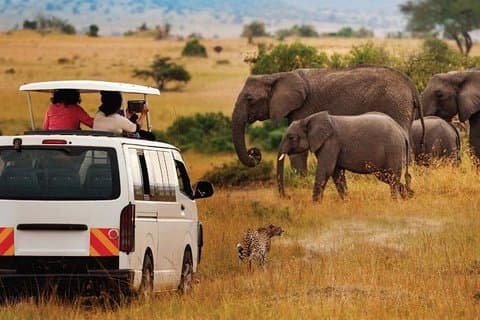 8-Days Tsavo East, Amboseli, Naivasha & Masai Mara Private Safari From Mombasa