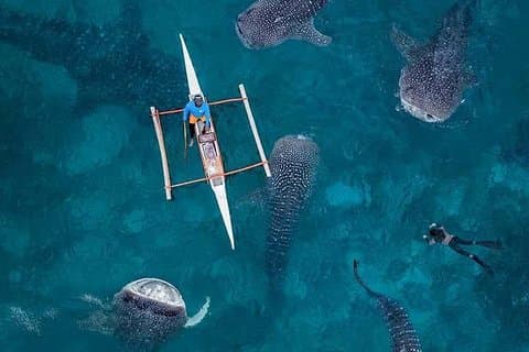 Cebu: 3 Tage 2 Nächte in privater Cebu-Tour