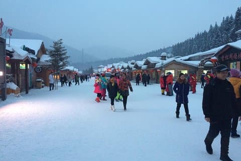 ハルビンからの中国の雪の町への2日間の小グループ旅行