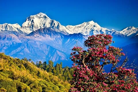 4 nachten 5-daagse rondleidingen door Kathmandu en Pokhara
