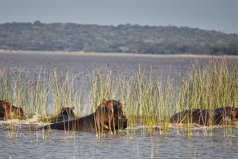 2-tägige Maputo-Sonderreservatführung