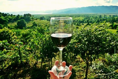 Prosecco and Wine: Private Tour with Tasting