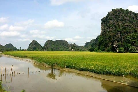 Ninh Binh - Bai Dinh - Trang Une journée complète au départ de Hanoi avec transferts de luxe