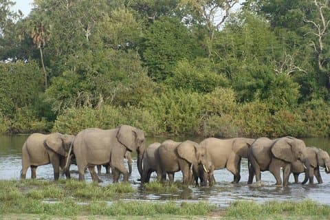3-daagse Selous Ontsnap aan de gebruikelijke, Korte Tanzania Safari's.
