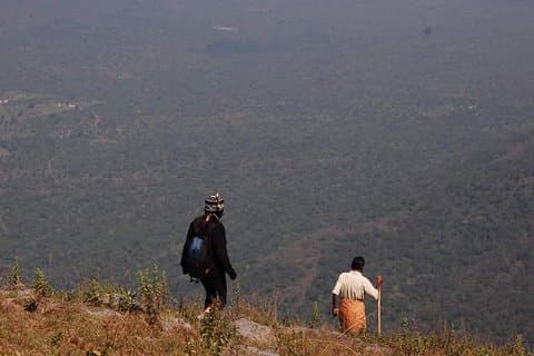 Ooty - Tagesausflug nach Bellikkal Estate