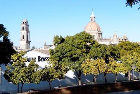 Walking tour in Jerez