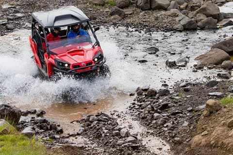 Reykjavik Buggy & walvissen kijken Full-Day Adventure
