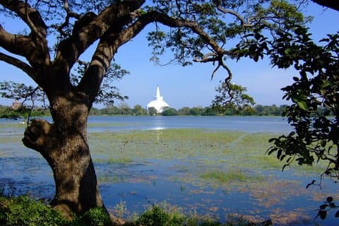 Excursión privada de un día a Anuradhapura desde Colombo, Negombo o Katunayaka