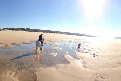 Paseos a caballo, 4 Opciones-Montaña, Anillo de clase, Playa (2 horas)