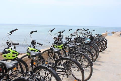 Palma de Mallorca Easy Bike Tour (Small Groups)