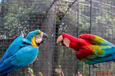 3 dagen en 2 nachten 4 Sterren Hotel Iguassu Falls - Privé-excursies