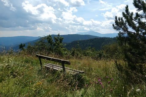 4-stündige Alpine Wanderung Enzian in kleiner Gruppe
