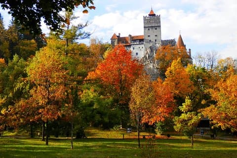 Dracula Castle & Peles Palace Tour från Bukarest Inklusive Brasov Old Town