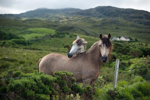 2 giorni di Connemara e Galway Bay Rail Tour da Dublino