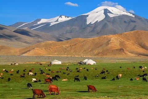 Bästa 7 dagars tur i centrala Mongoliet