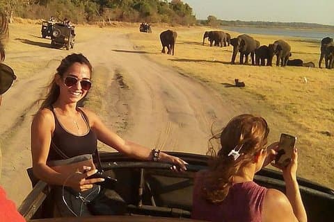 Safari at Udawalawa & Yala national parks from Colombo