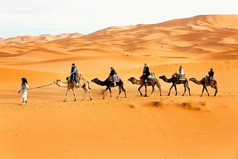 Desert Safari med Bab AL Shams Middag med 45 minuter med Dune Bashing