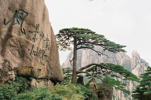 3 - Dagen privétour naar Huangshan en Hong Village vanuit Shanghai