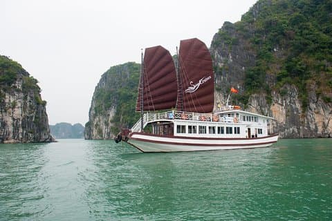 3 jours 2 nuits sur les croisières sur les cygnes, visite de la baie de Bai Tu Long Grotte de Thien Canh Son