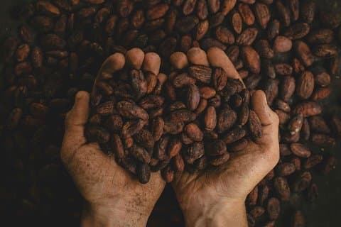 2-tägiges exklusives Kaffee- und Kakaoerlebnis