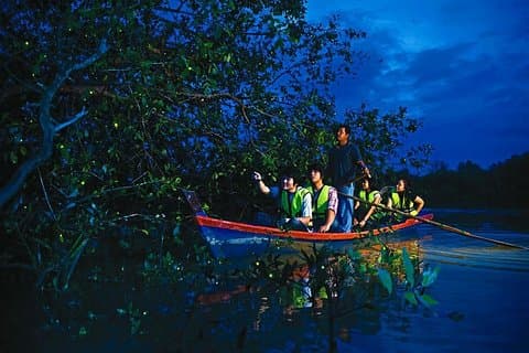Firefly Tour em rota Batu Caves inclui jantar + passeio de barco
