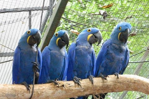 4 dager og 3 netter 3 Stjerner Hotell Iguassu Falls - Private Tours