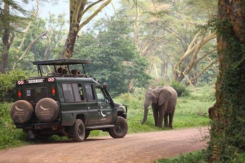 8 Dias de Melhor no Safari da Vida Selvagem da Tanzânia