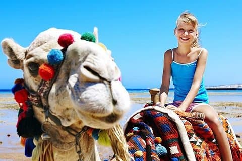 Camel Trekking i Abu Dhabi