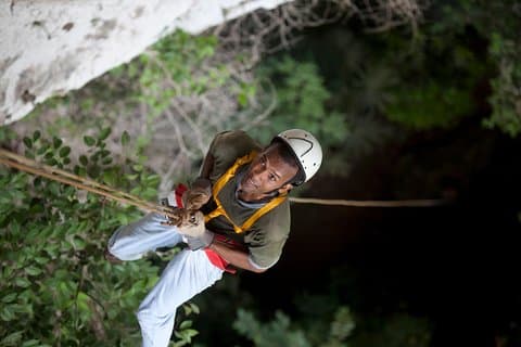 Adrenaline Pumping Black Hole Drop: Rappelling at Ian Anderson's Caves Branch