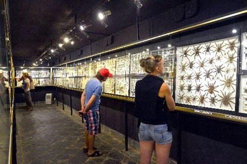 Die Mauritius Museumstour (Süden)