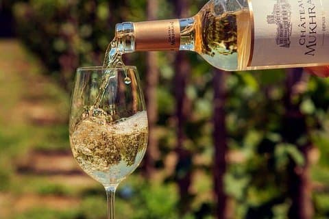 Økologiske viner av Mtskheta - privat tur med lunsj og vinsmaking