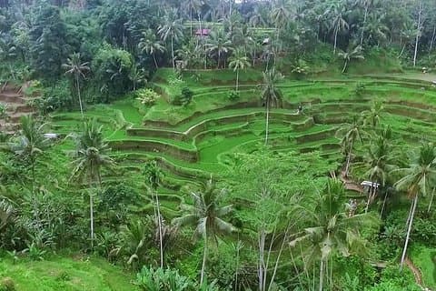 Full Day Bali Private Top Tour Attractions 10-12 hours