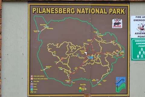 Visite privée du parc national du Pilanesberg de Johannesburg / Sandton